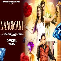 Naagmani Peehu Yadav Ft Pradeep Yadav New Haryanvi Song 2025 By Harjeet Deewana Poster